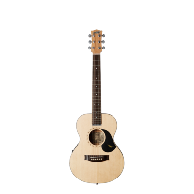 MATON EM6