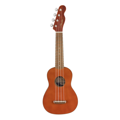 FENDER VENICE NAT