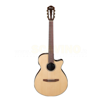 IBANEZ AEG50N NT