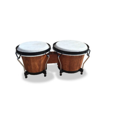 SOUNDSATION SB-NW10-DWS COPPIA BONGOS