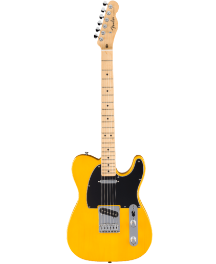 FENDER STANDARD TELECASTER MN BPG BTB