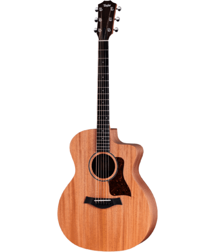 TAYLOR 24CE ( IN ARRIVO)