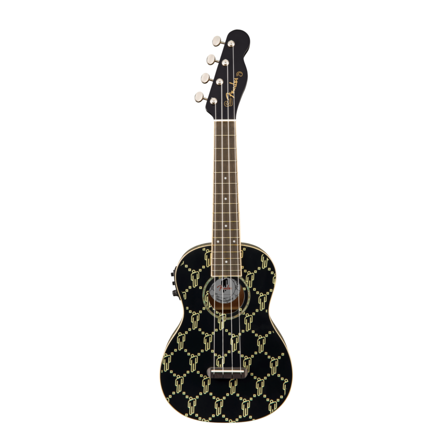 FENDER BILLIE EILISH BLK WN