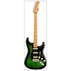 FENDER PLAYER STRATOCASTER HSS PLUSTOP MN GREEN BURST LIMITED EDITION