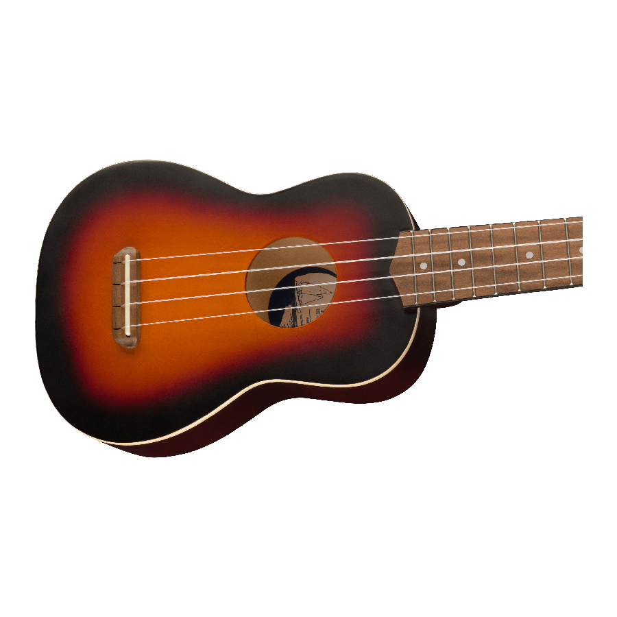 FENDER VENICE 2TS - immagine 4