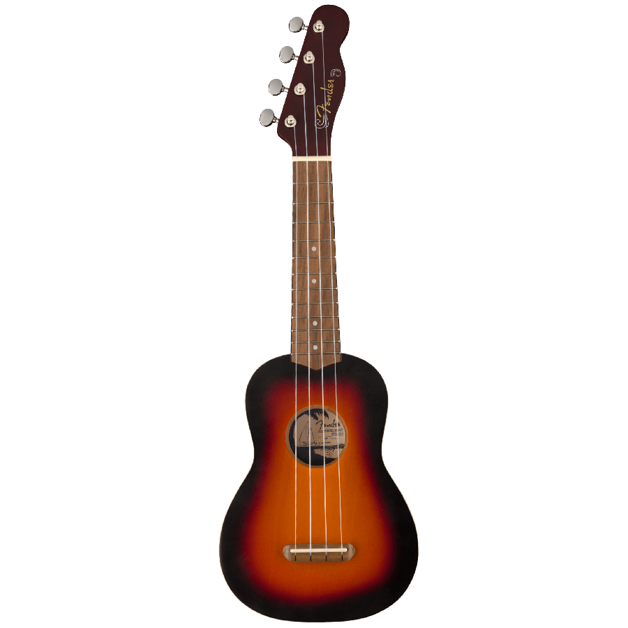 FENDER VENICE 2TS