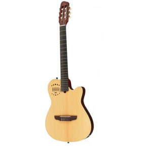 GODIN MULTIAC NYLON DUET AMBIENCE HG