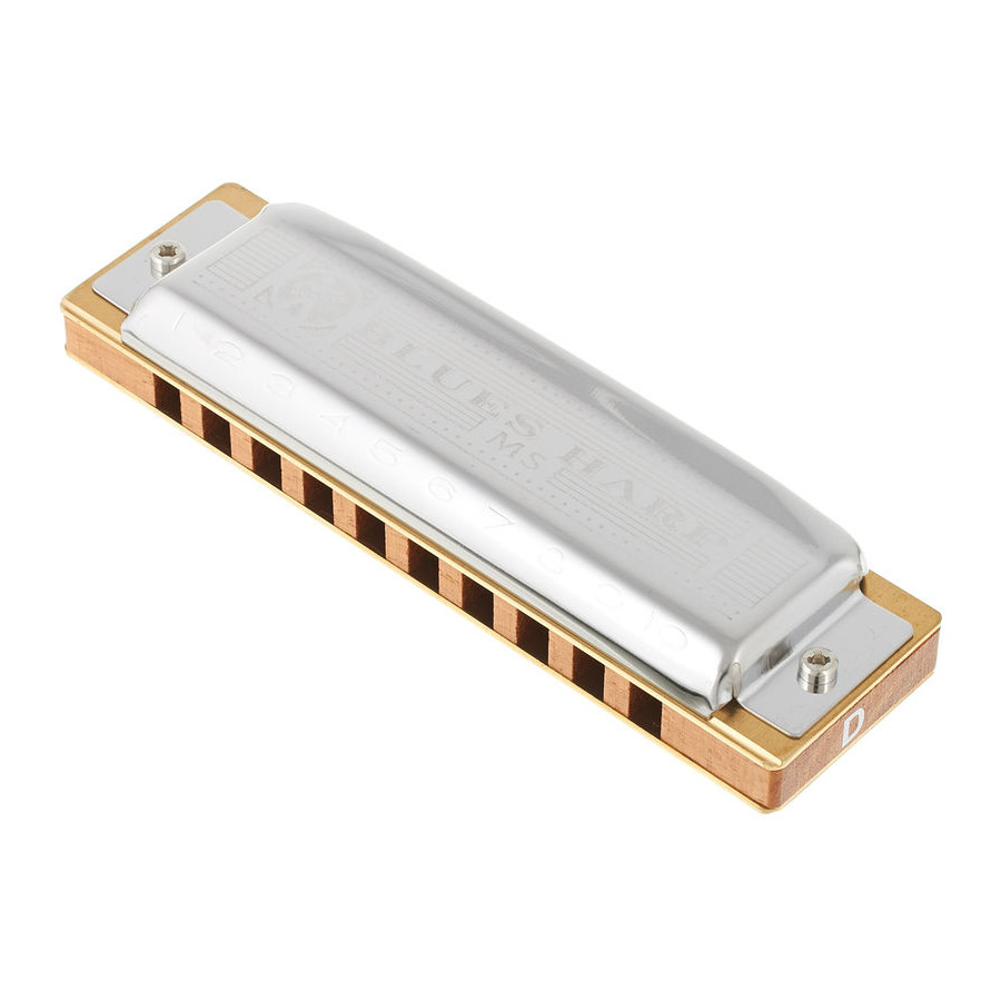 HOHNER BLUES HARP MS 20 D RE