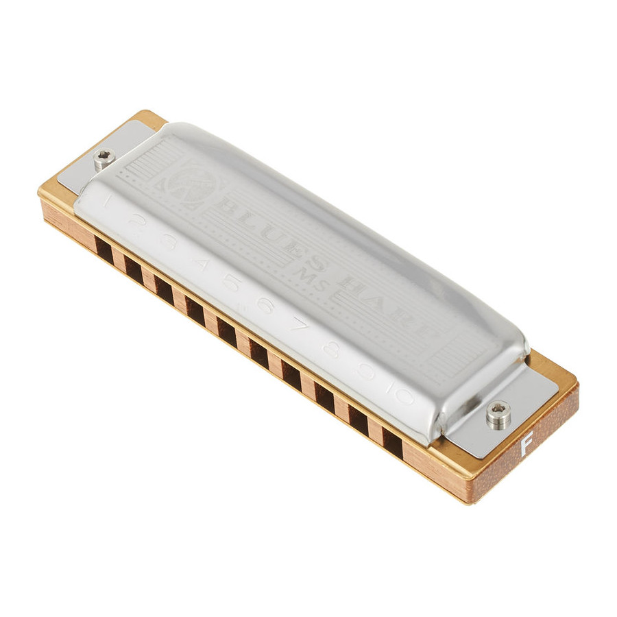 HOHNER BLUES HARP MS 20 F FA