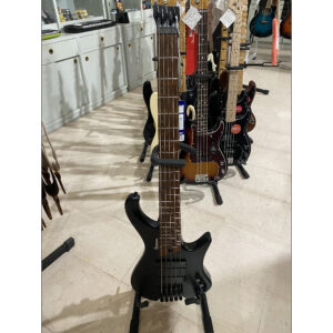 IBANEZ EHB 1005 BKF (USATO)