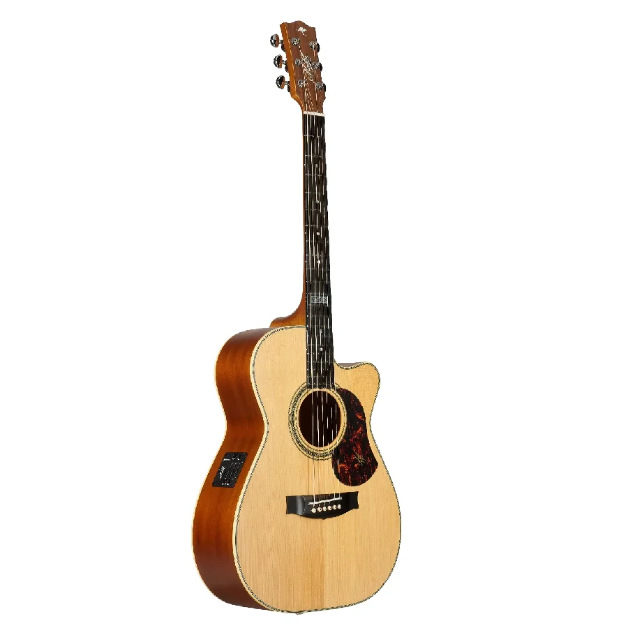 MATON EBG808C TE TOMMY EMMANUEL - immagine 2