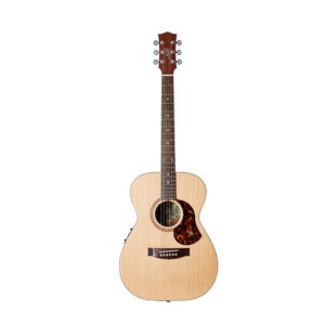MATON SRS808