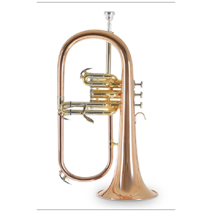 ROY BENSON FH-302G FLICORNO SOPRANO IN SIB