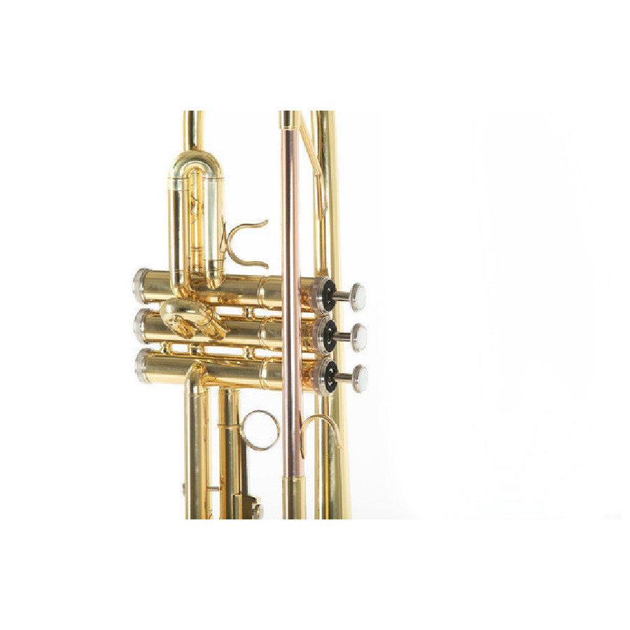 ROY BENSON TR101 - immagine 4