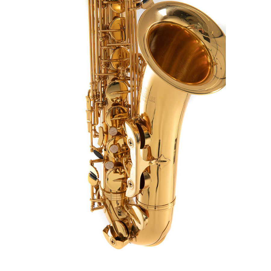 ROY BENSON TS202 SAX TENORE - immagine 3