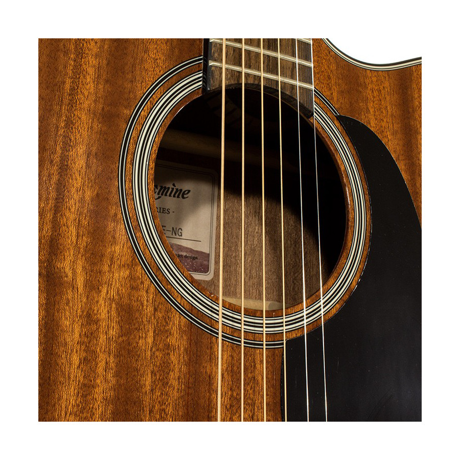 TAKAMINE GSD11MCE-NG - immagine 3