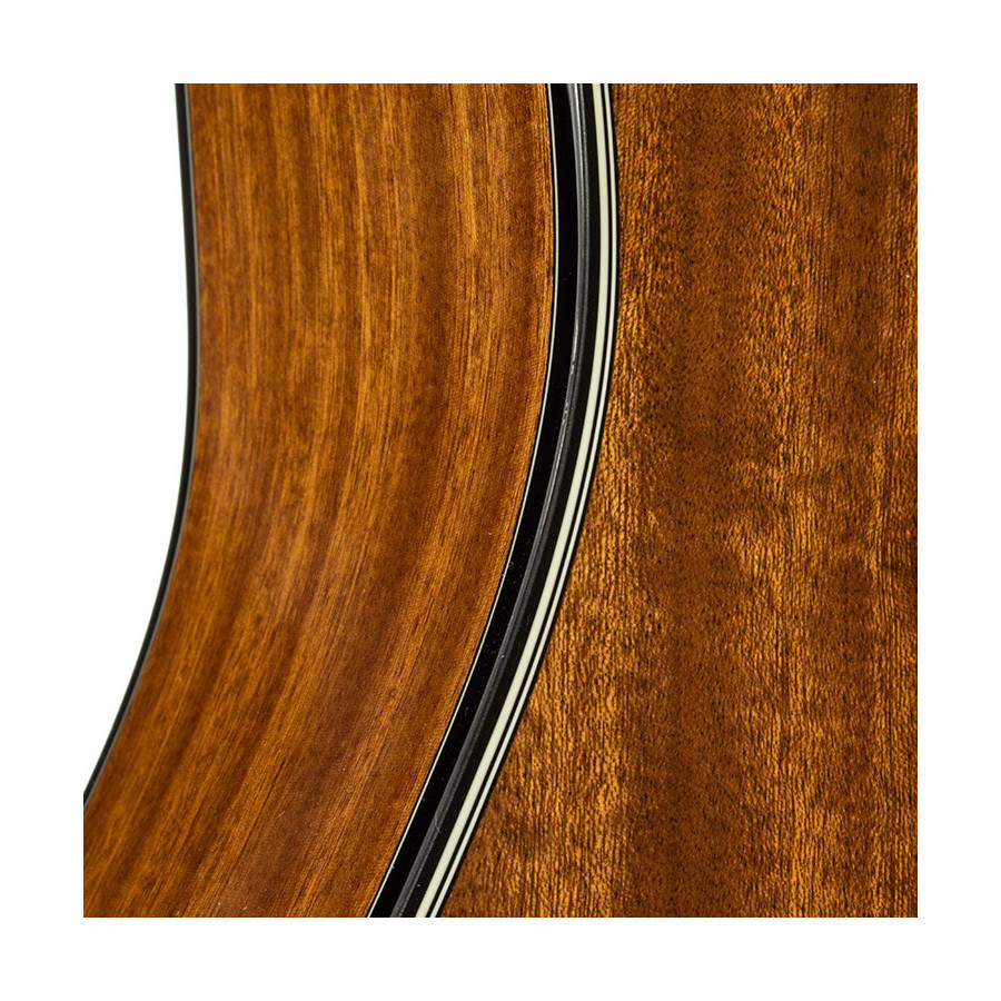 TAKAMINE GSD11MCE-NG - immagine 4