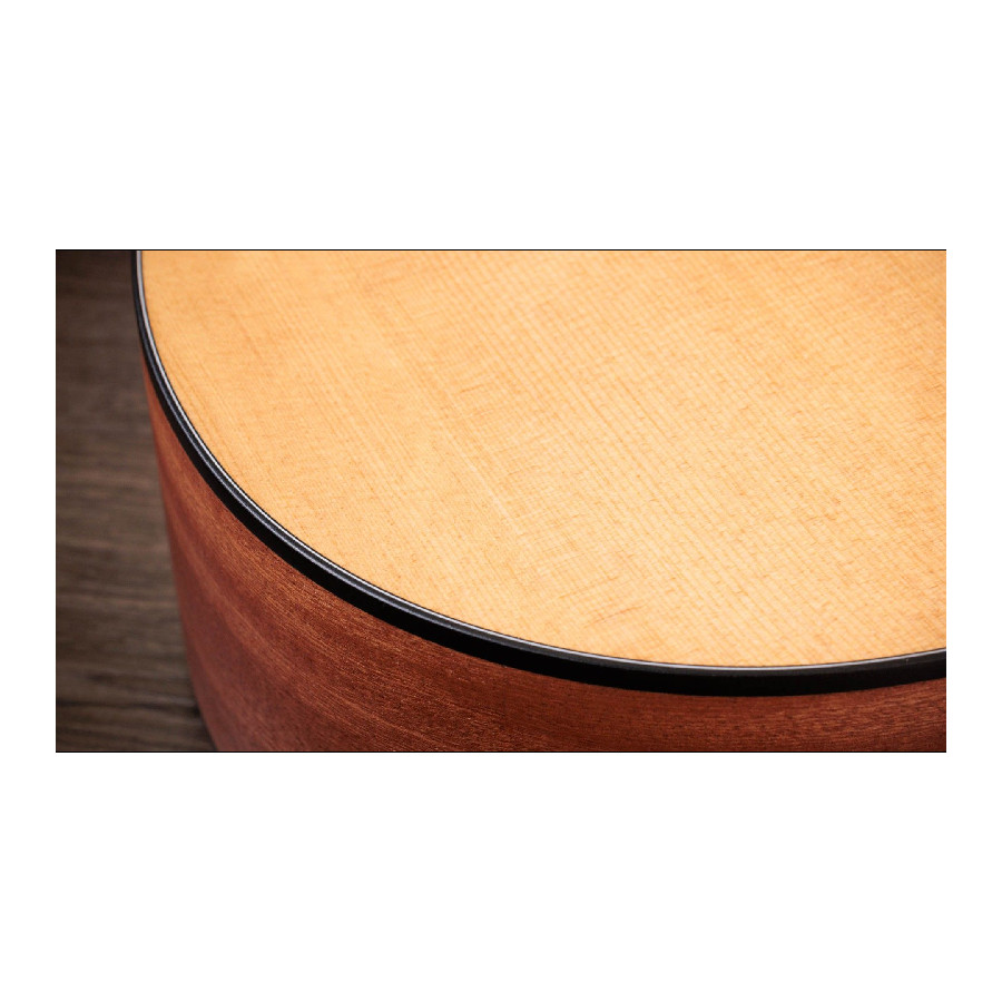 TAYLOR 110CE - immagine 5