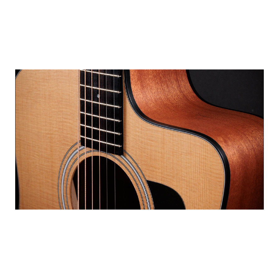 TAYLOR 110CE - immagine 6