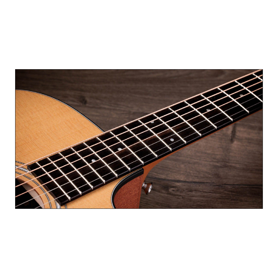 TAYLOR 110CE - immagine 8