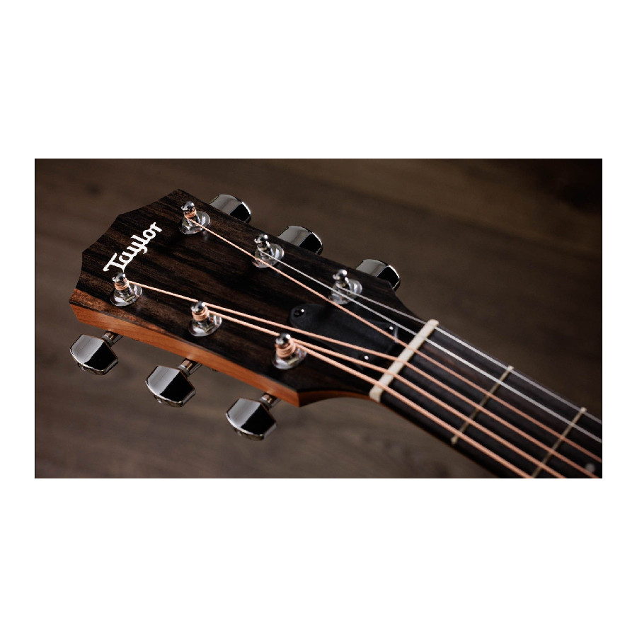 TAYLOR 110CE - immagine 9