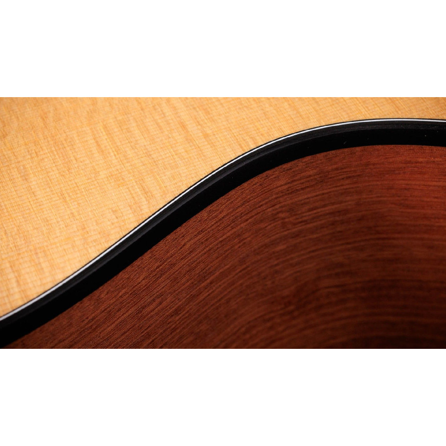 TAYLOR 112CE SAPELE/SPRUCE - immagine 11
