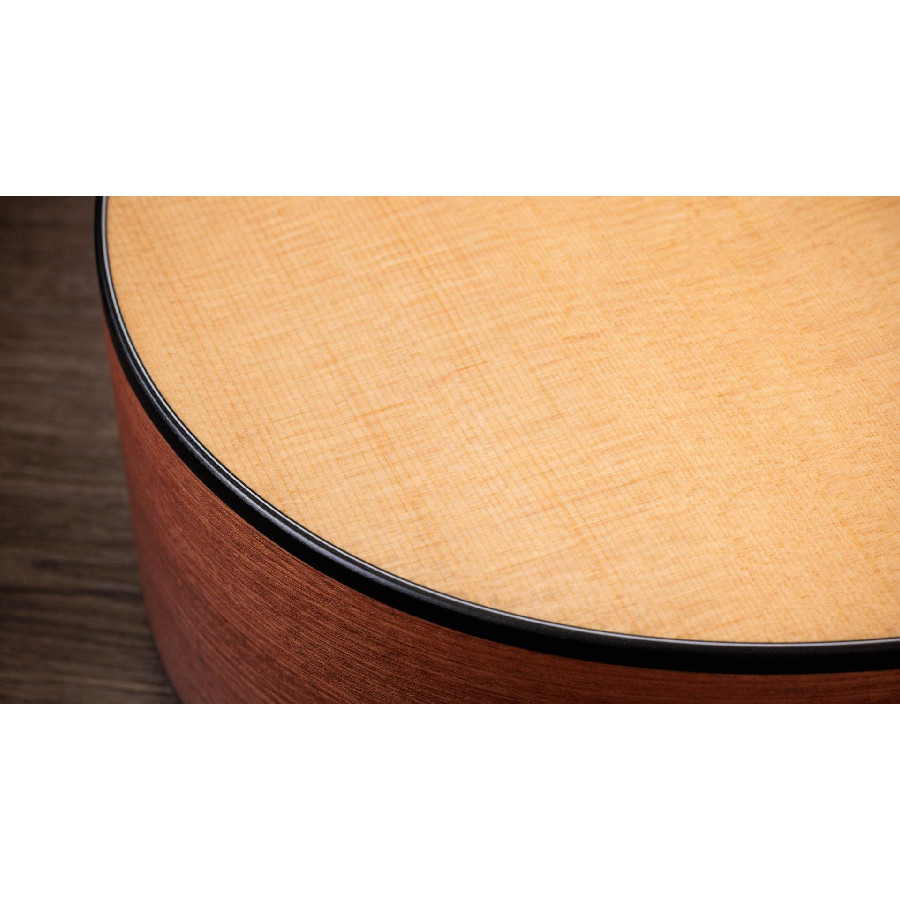 TAYLOR 112CE SAPELE/SPRUCE - immagine 5