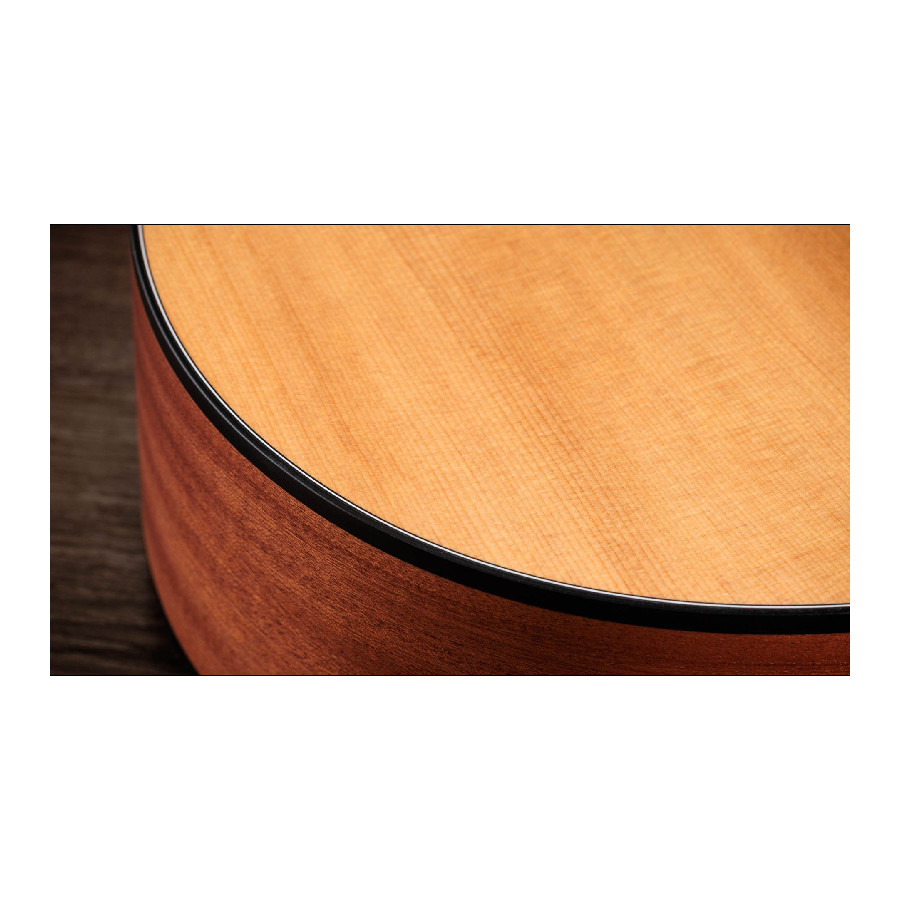 TAYLOR 112CE-N - immagine 5