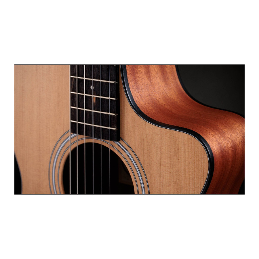 TAYLOR 112CE-N - immagine 6