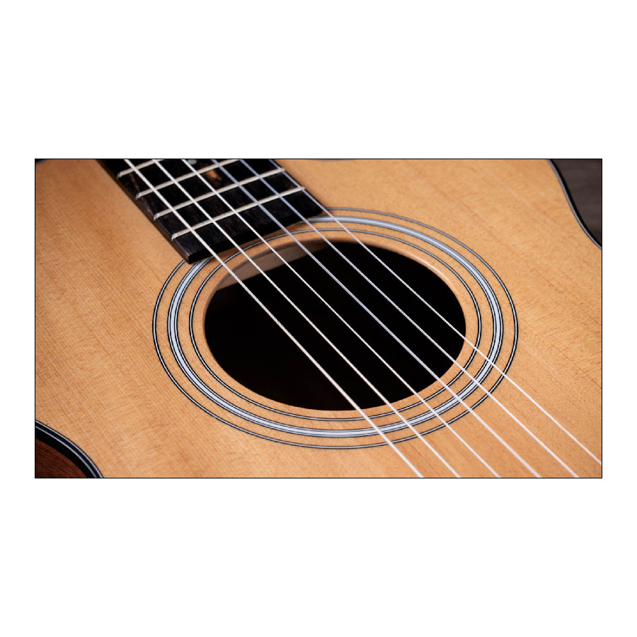 TAYLOR 112CE-N - immagine 7