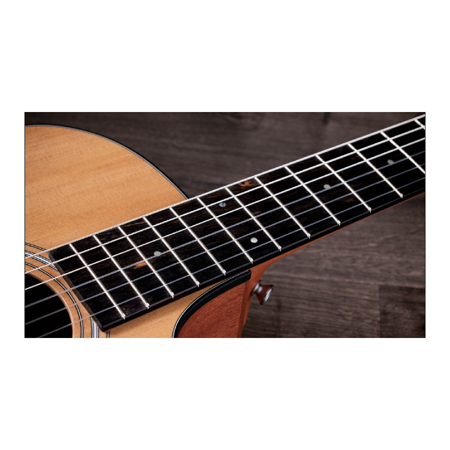 TAYLOR 112CE-N - immagine 8