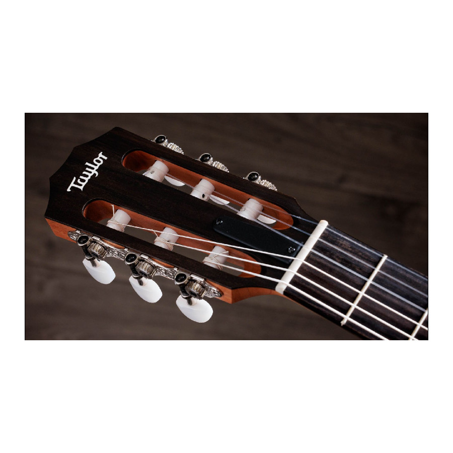 TAYLOR 112CE-N - immagine 9