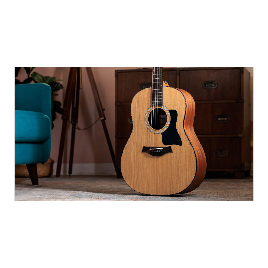 TAYLOR 117E - immagine 5
