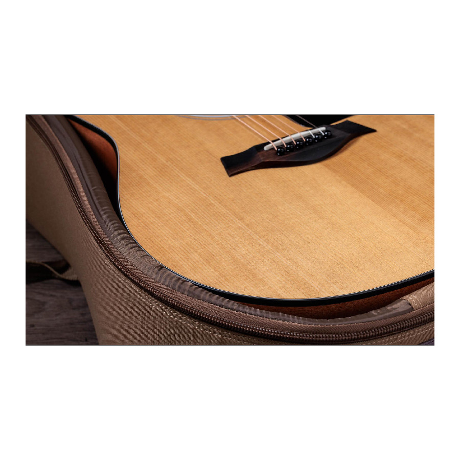 TAYLOR 117E - immagine 6