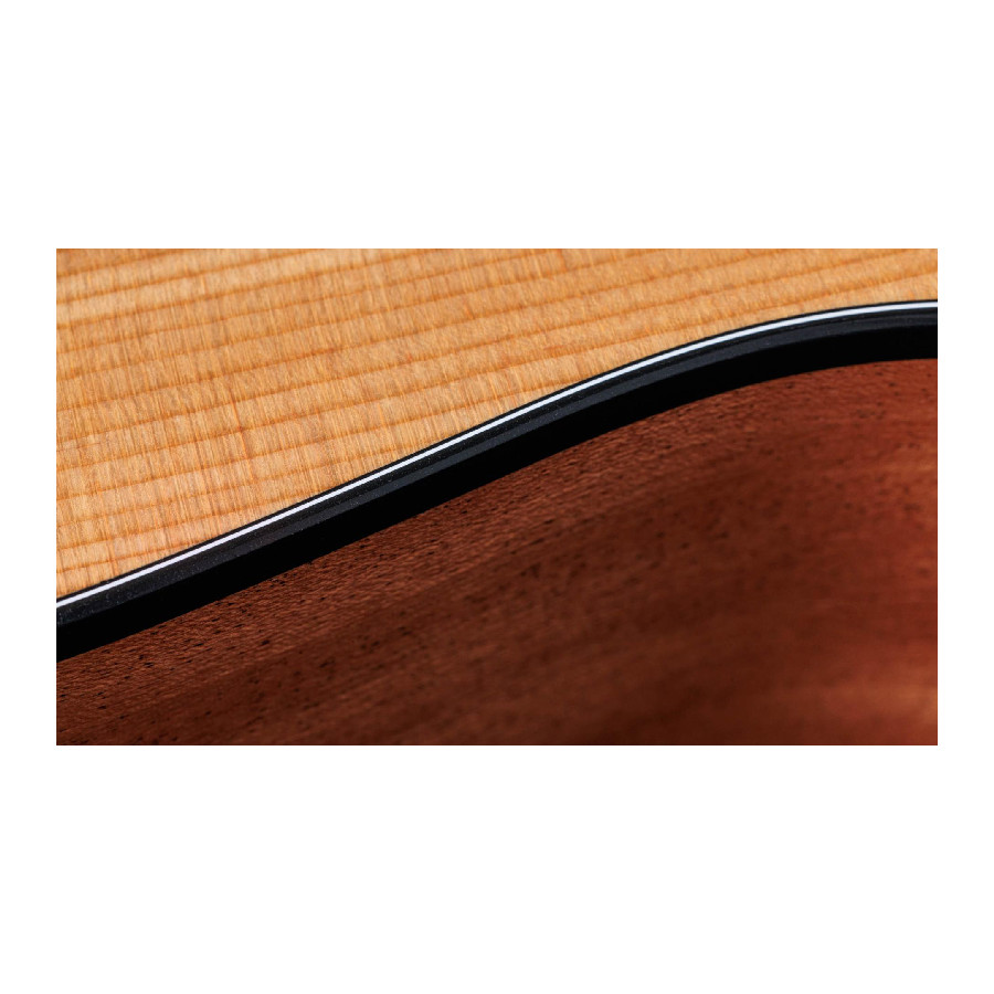 TAYLOR 117E - immagine 8