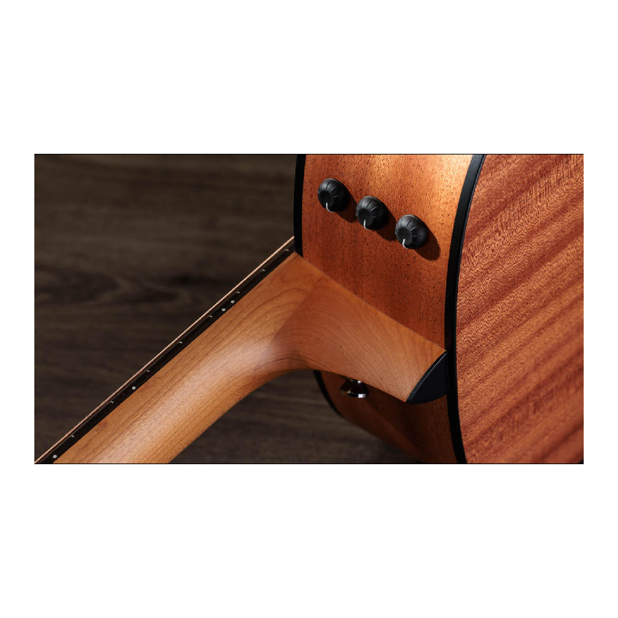 TAYLOR 117E - immagine 9