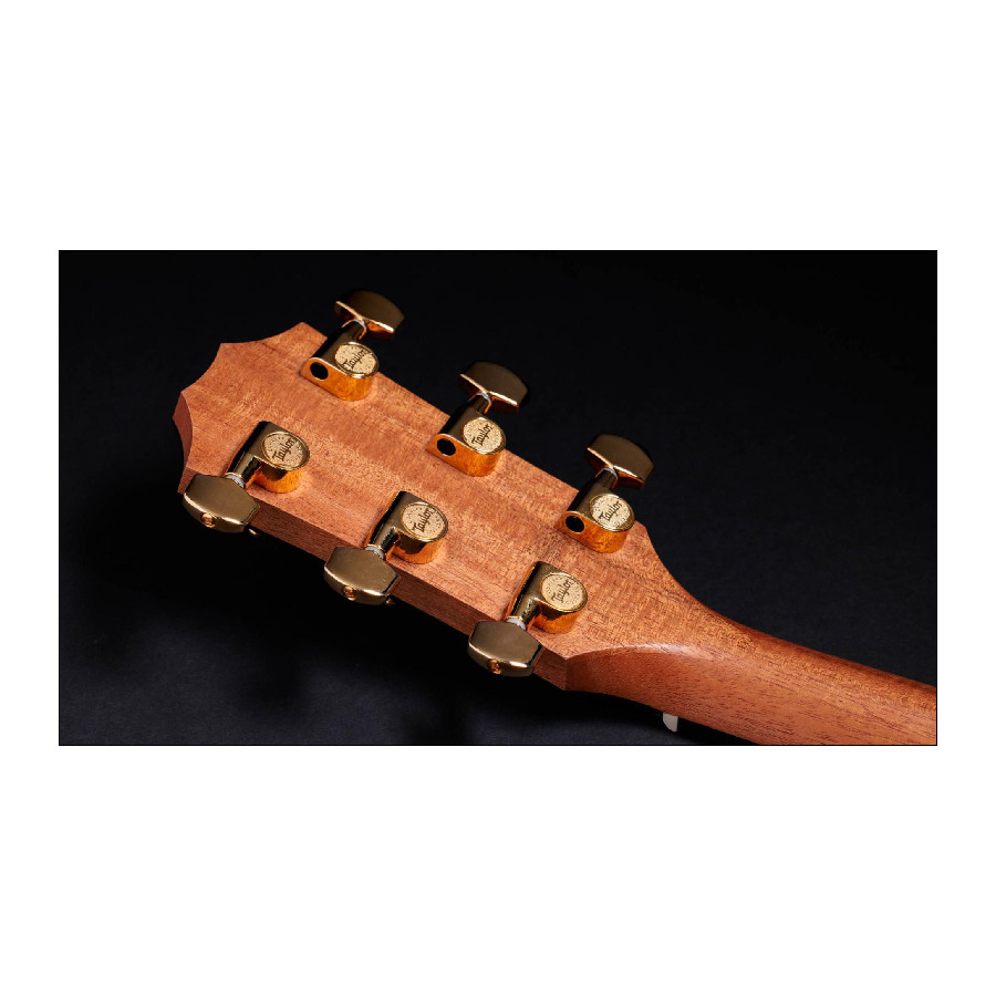 TAYLOR 217E SUNBURST PLUS LTD 50TH ANNIVERSARY - immagine 8
