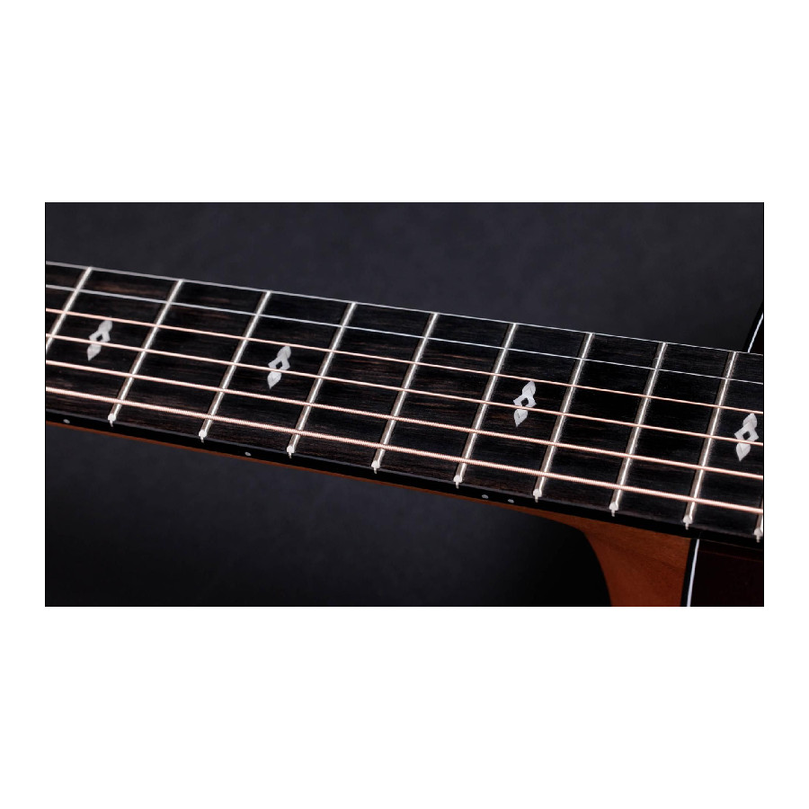 TAYLOR 217E SUNBURST PLUS LTD 50TH ANNIVERSARY - immagine 9