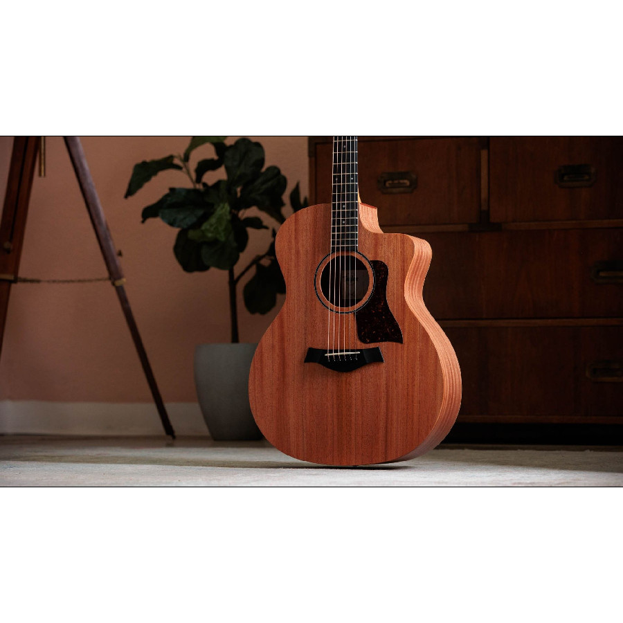 TAYLOR 24CE - immagine 4