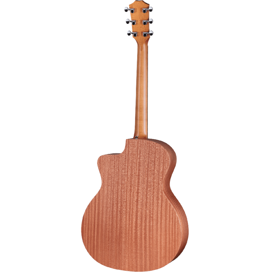 TAYLOR 24CE - immagine 3