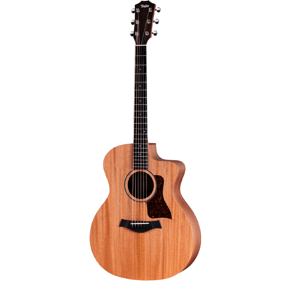 TAYLOR 24CE