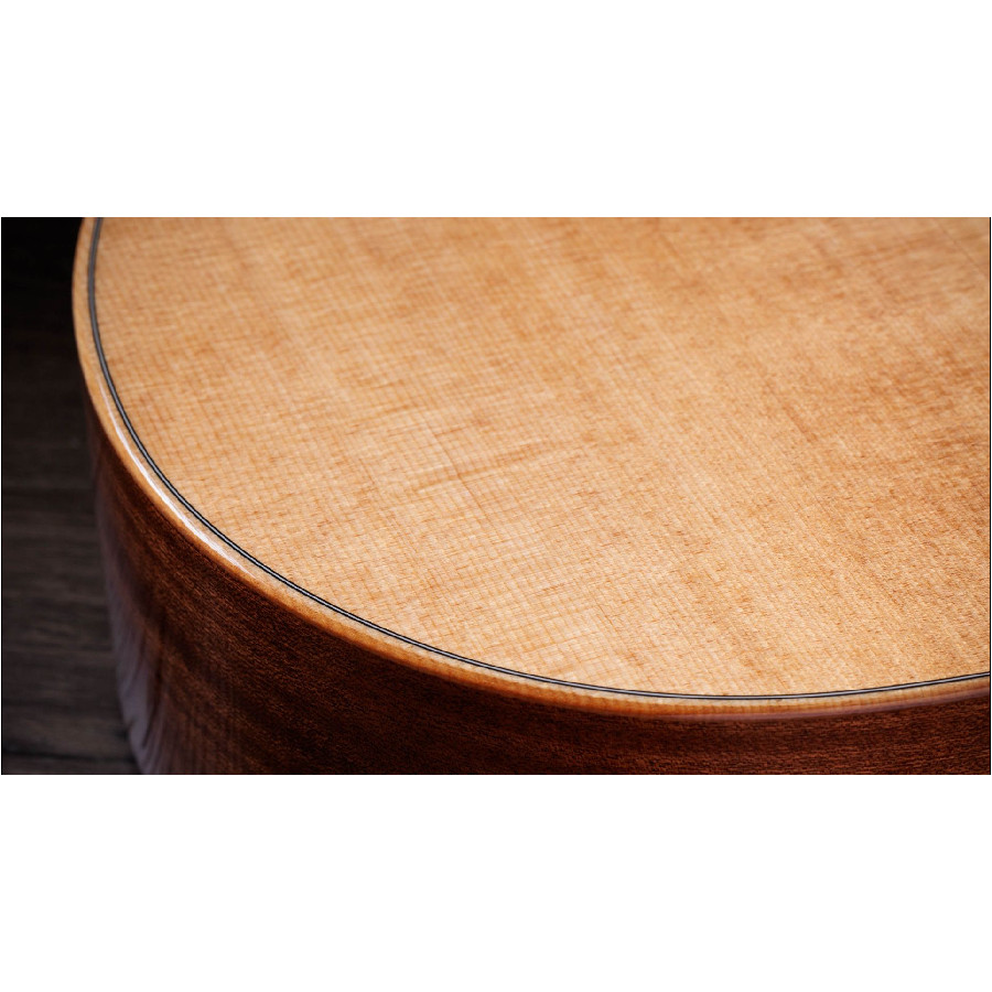 TAYLOR 314CE STUDIO - immagine 5