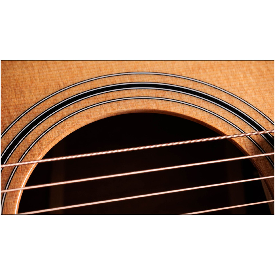 TAYLOR 314CE STUDIO - immagine 6