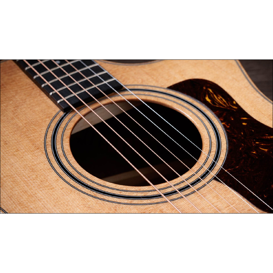 TAYLOR 314CE STUDIO - immagine 8