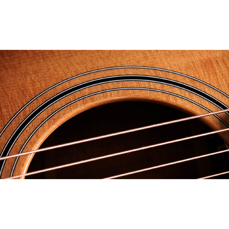 TAYLOR 314CE STUDIO SEB - immagine 5