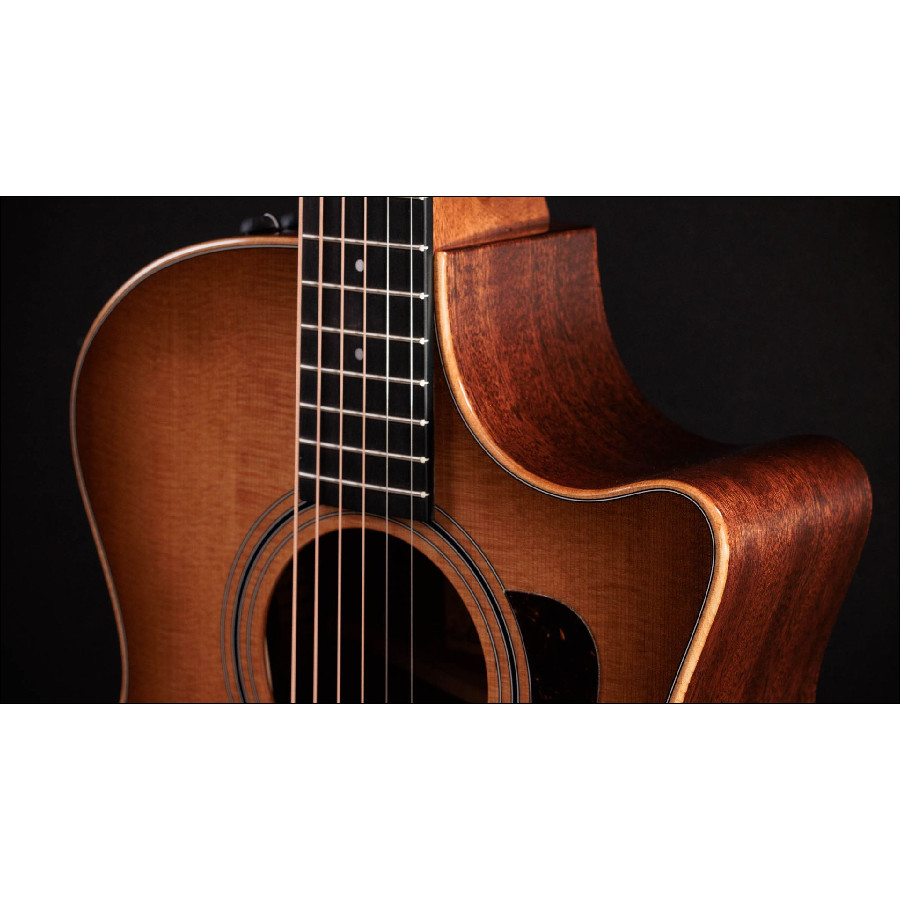 TAYLOR 314CE STUDIO SEB - immagine 6