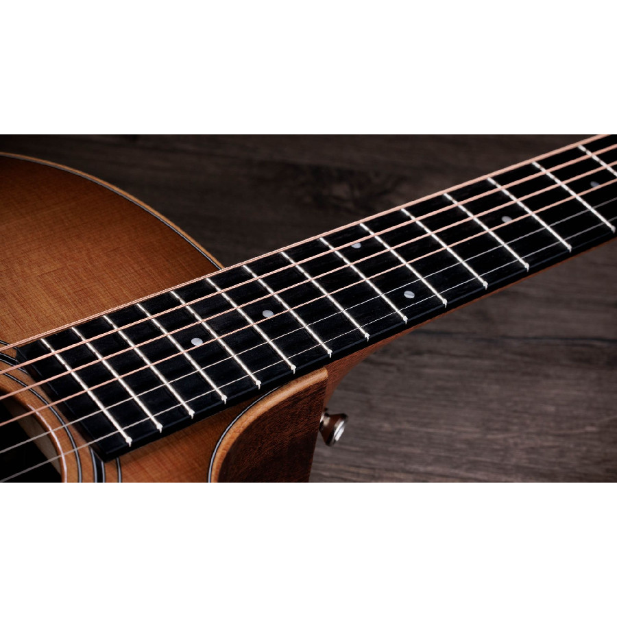 TAYLOR 314CE STUDIO SEB - immagine 8