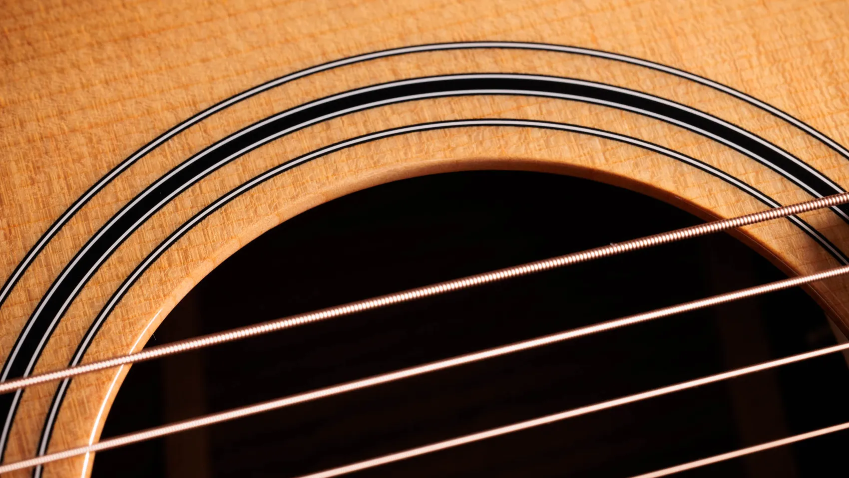 TAYLOR 414CE STUDIO - immagine 6