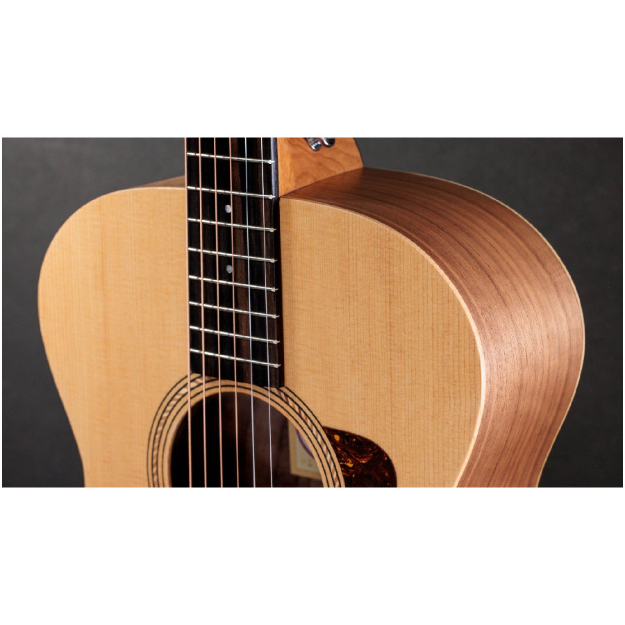 TAYLOR ACADEMY 12E WALNUT/SPRUCE - immagine 4