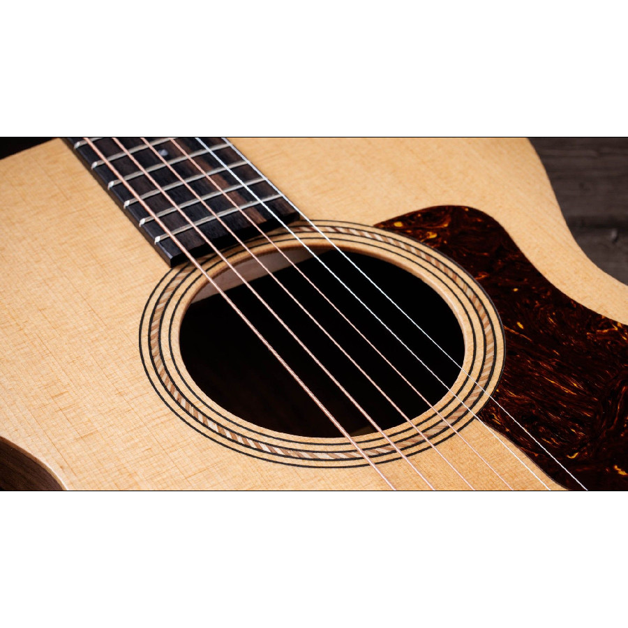 TAYLOR ACADEMY 12E WALNUT/SPRUCE - immagine 5
